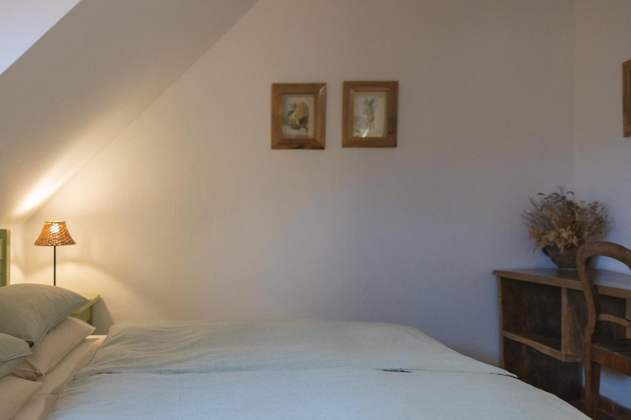 Guesthouse Novak Dvor Exteriér fotografie