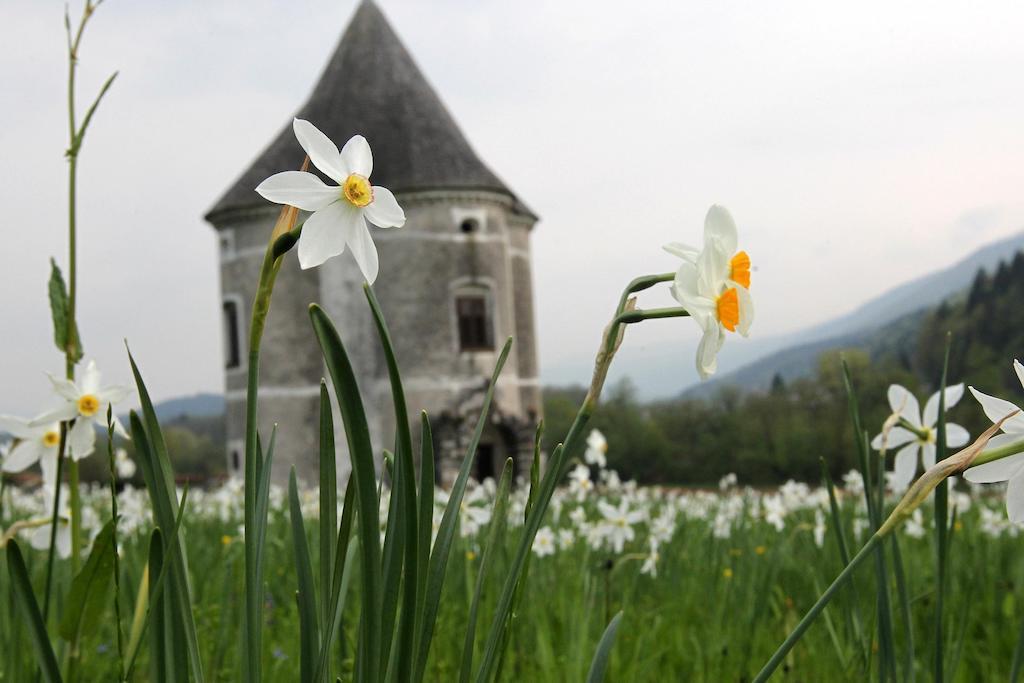 Guesthouse Novak Dvor Exteriér fotografie